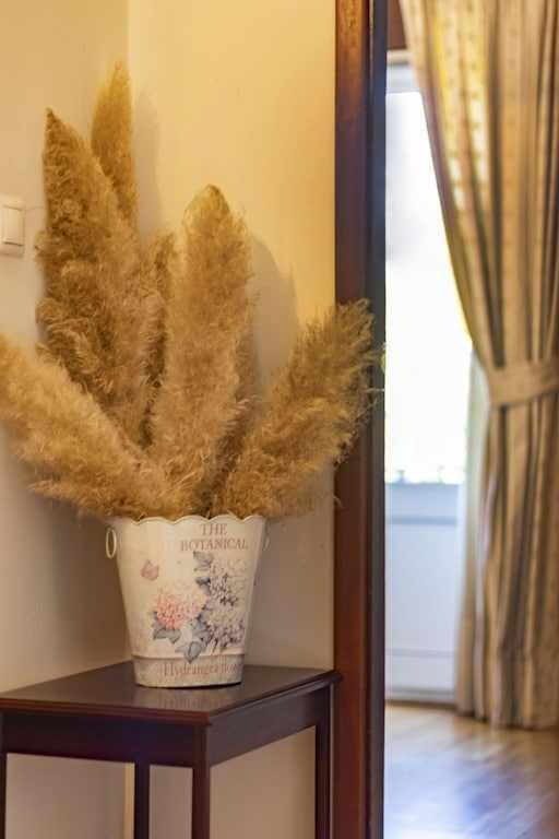Quintinha De Sabadim - 500 Metros Da Ecovia De Sistelo Villa Arcos de Valdevez Bagian luar foto